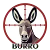Burro