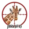 Jirafa