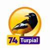 Turpial